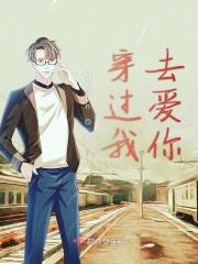 穿过世界去爱你什么意思