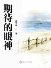 期待的眼神作文800字初二