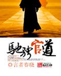 驰骋什么