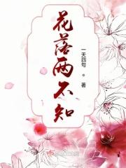 花落两不知什么数字