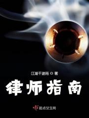 律师法律法规指南