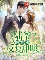闪婚后我成了陆少的心尖宠全文免费阅读