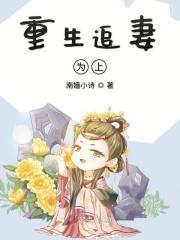 重生追妻记