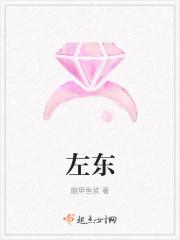 左东右西南北怎么分