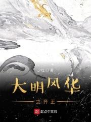 大明风华其格木