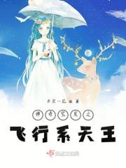 飞行系神奇宝贝大全