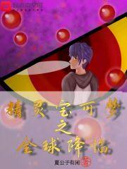 精灵宝可梦之全球降临 第202章