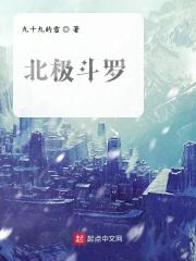 北极斗南