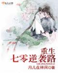 齐风主角