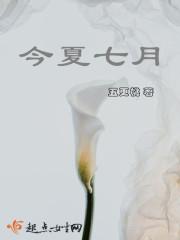 今夏的全部
