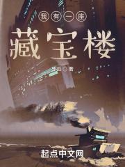 我有一座藏武