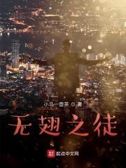 无翅飞翔简介