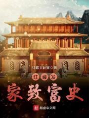 红楼发家致富史全文