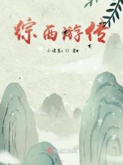 综穿包括西游记晋江