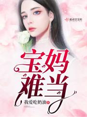 宝妈难当电视剧
