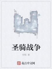 圣骑士战役共几章