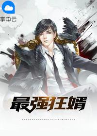 最强狂婿叶辰萧初然