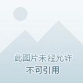 生命长存是什么意思