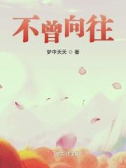 不曾是什么意思
