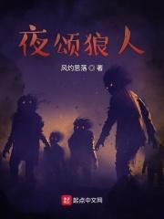 夜狼歌曲原唱
