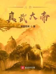 万界真武 顶点