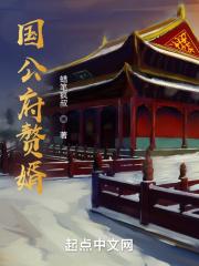国公府赘婿TXT