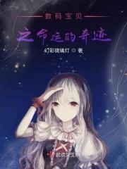 数码宝贝之奇迹
