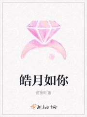 如皓月之光