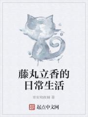 藤丸立香的真实身份