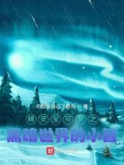 神奇宝贝之小智黑暗系统
