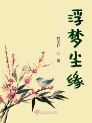 浮尘若梦
