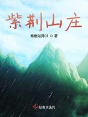 紫荆山镇