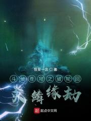 斗破苍穹炎鳞虐文