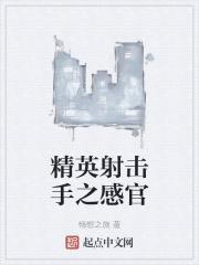 精准射击角色介绍