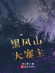 黑风寨剿匪
