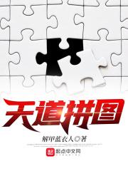 播放天道照片