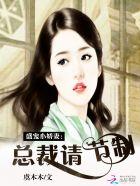 盛宠之总裁前妻免费