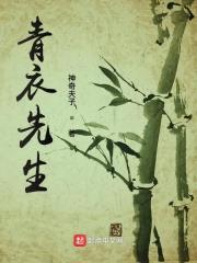 青衣身份