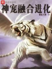 神宠进化人物