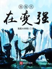 每天我都在努力变强