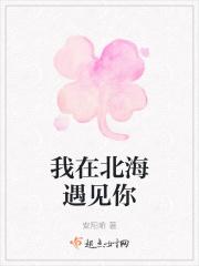 我在北海等你来