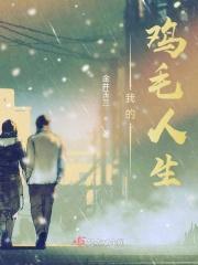 我的鸡毛人生全文免费阅读