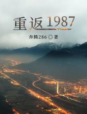 重返1987随手成富翁
