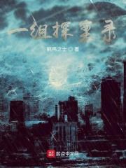 探案纪实录