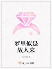 歌曲 似是故人来