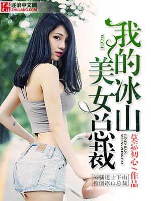 我的冰山美女总裁免费阅读