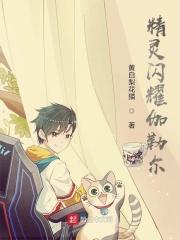 伽勒尔新精灵