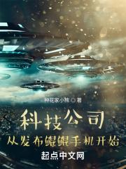 鲲鹏科技有限公司