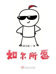 如期所愿的意思