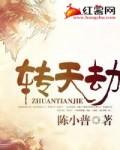 转天劫简介